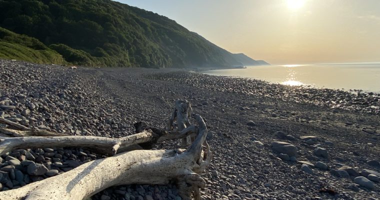 Devon and Somerset UK. (Jul 21)