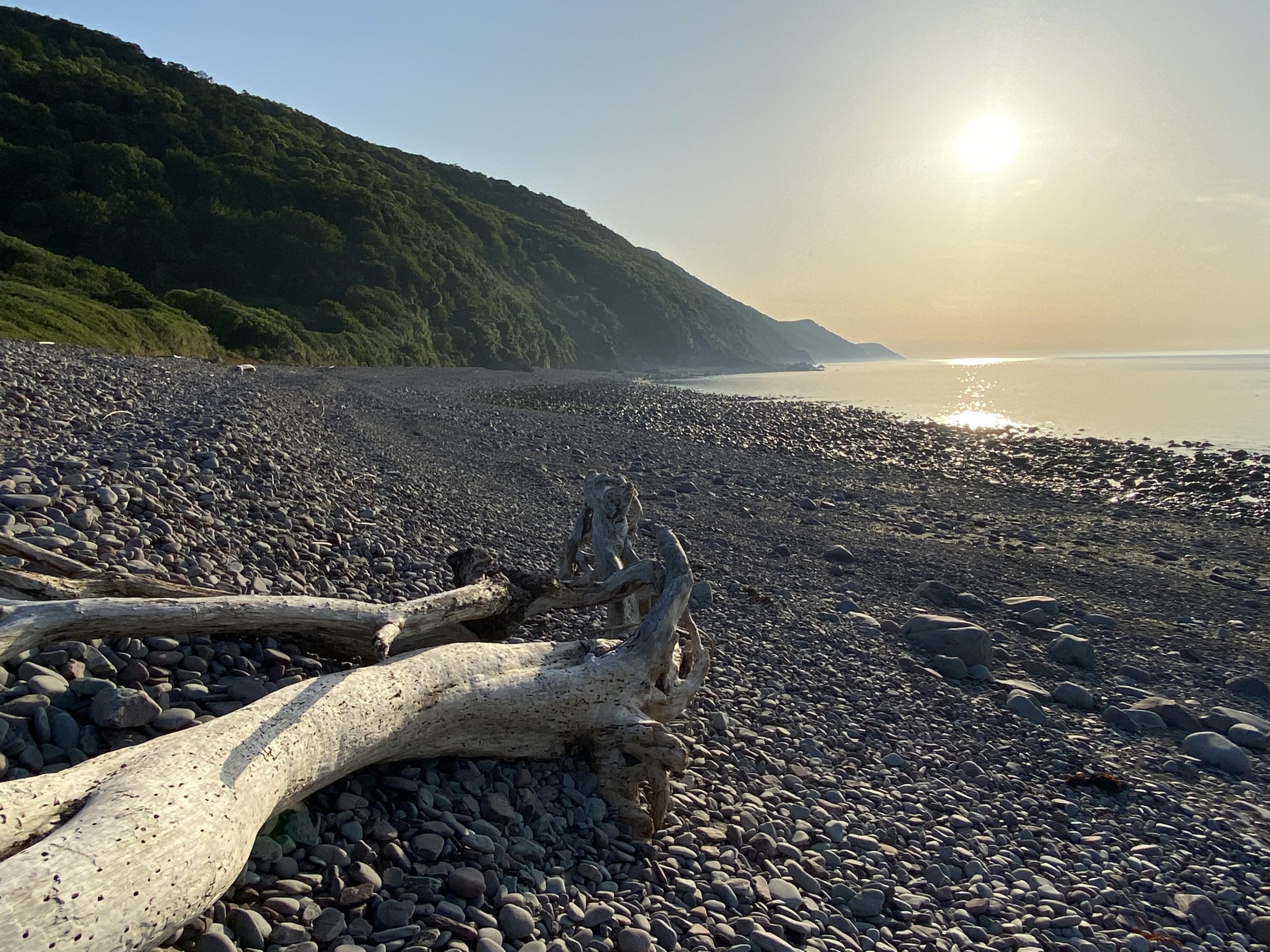 Devon and Somerset UK. (Jul 21)