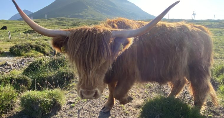 Highlands and Islands of West Scotland. (Jul 21)