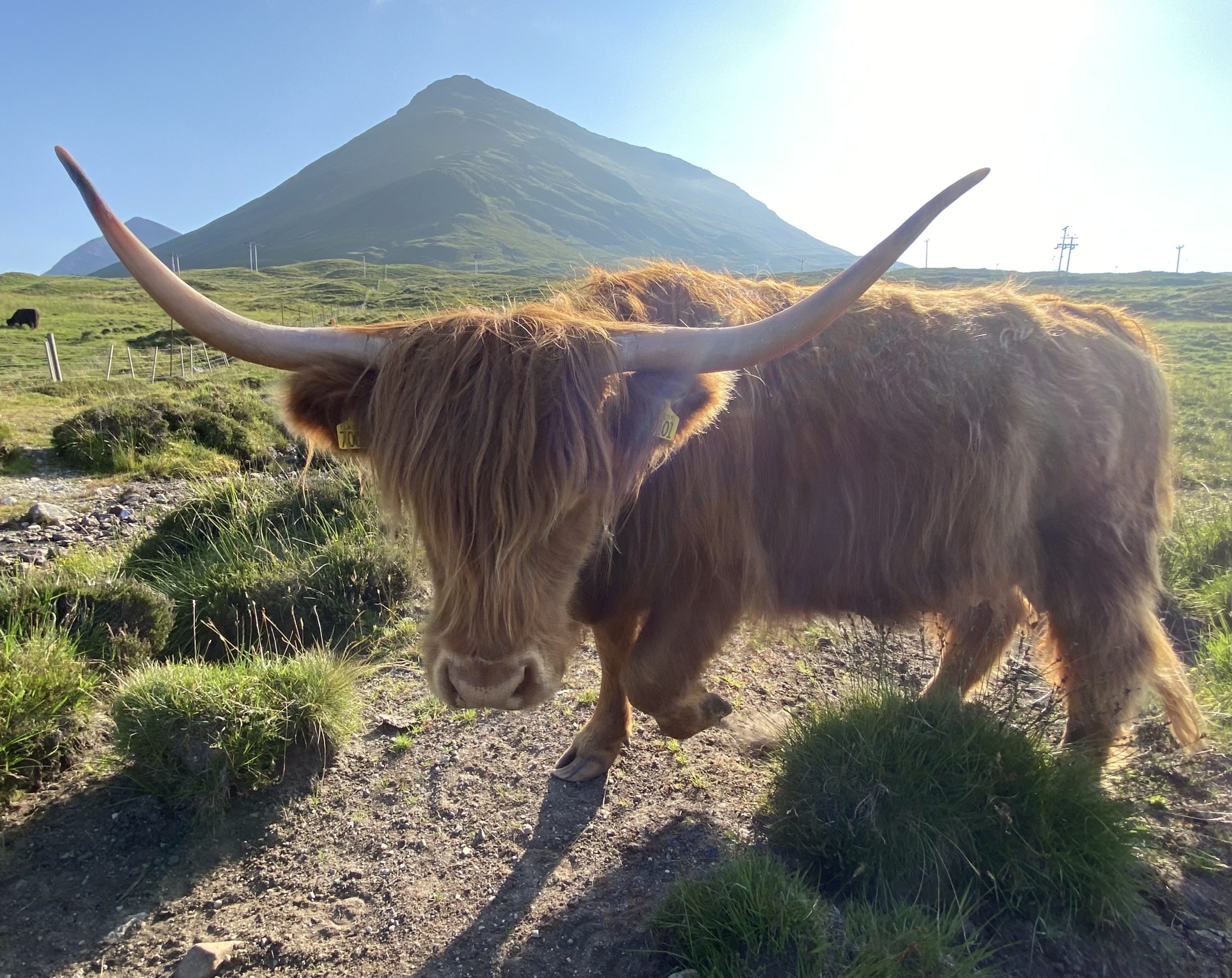 Highlands and Islands of West Scotland. (Jul 21)