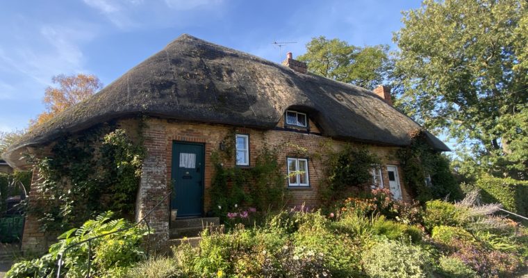 Autumn in Hampshire, England (Oct 23)