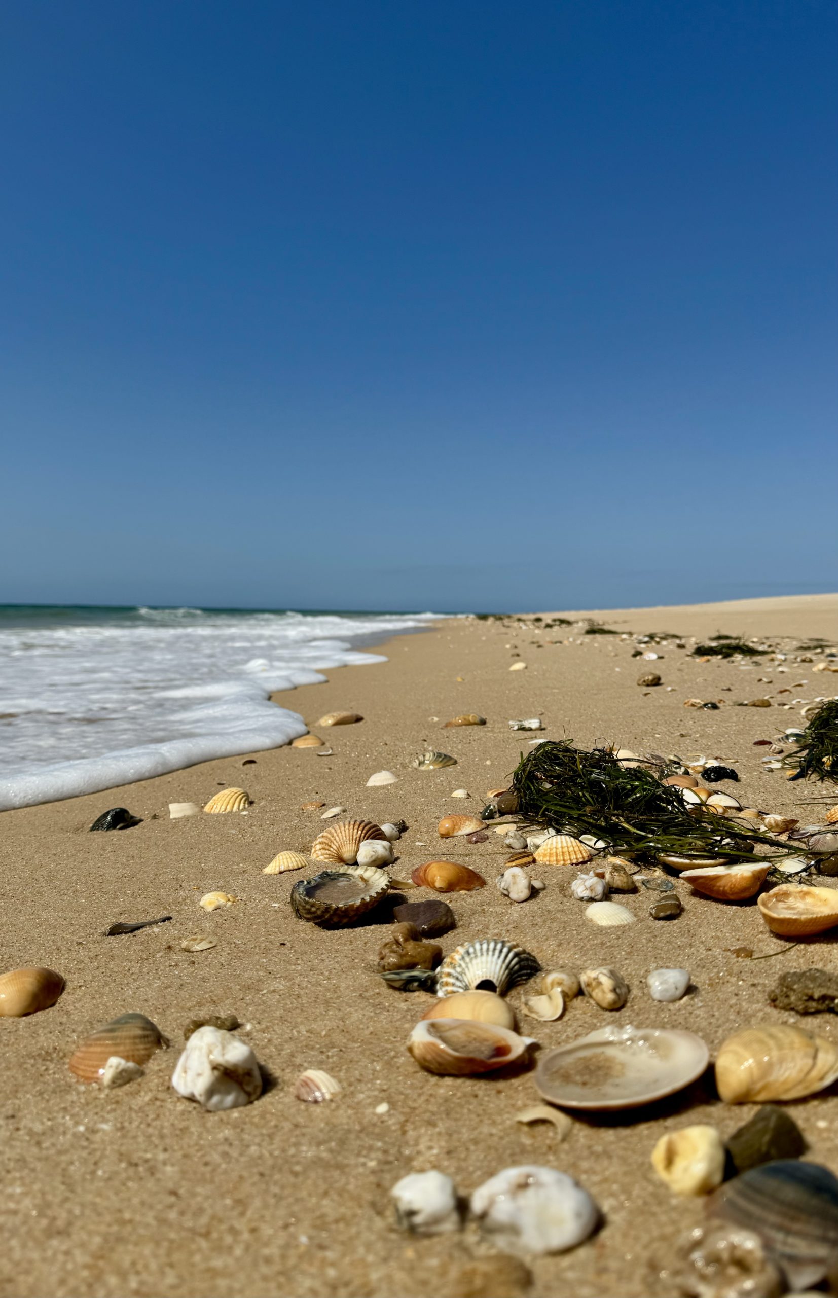 Parque Natural da Ria Formosa and Faro – Portugal (Apr 24)