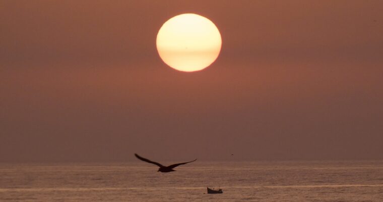 Tamraght, Taghazout, Imsouane and Essaouira. (Nov 24)