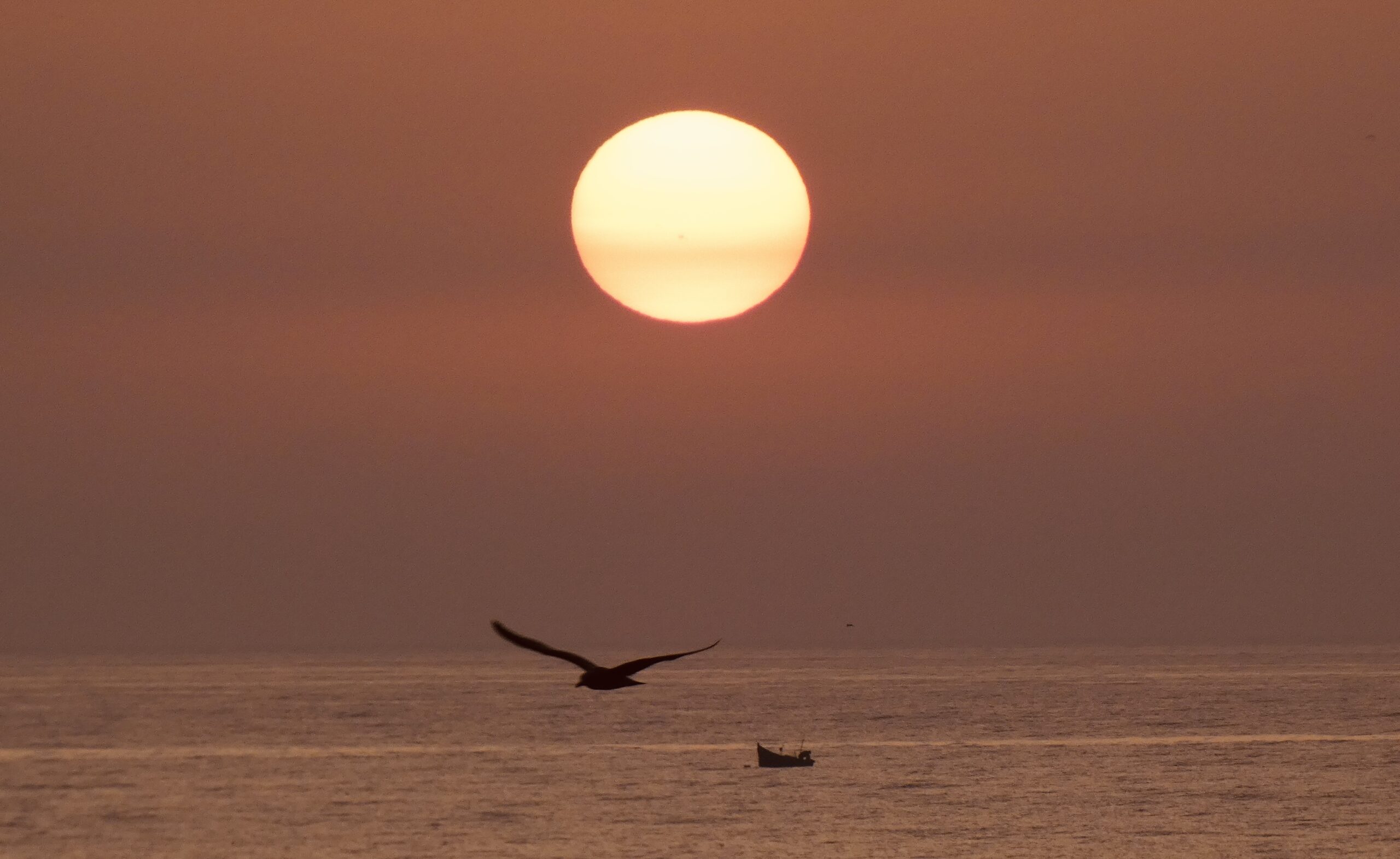 Tamraght, Taghazout, Imsouane and Essaouira. (Nov 24)